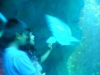 Aquarium_Dubai Mall