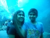 Aquarium 6