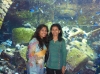 Lost World of Atlantis, Dubai